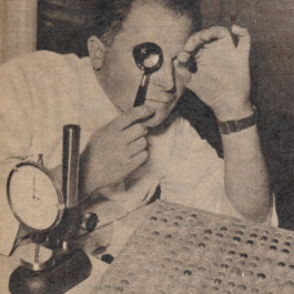 STROKE AND MARVEL — Studio für wunderbares Design