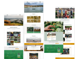 STROKE AND MARVEL — Studio für wunderbares Design