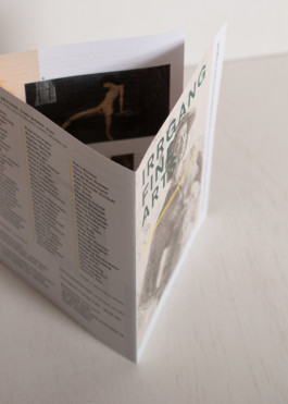 STROKE AND MARVEL — Studio für wunderbares Design