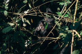  STROKE AND MARVEL — Studio für wunderbares Design