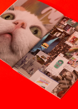 STROKE AND MARVEL — Studio für wunderbares Design