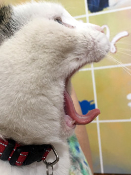 STROKE AND MARVEL — Studio für wunderbares Design