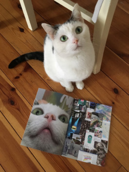 STROKE AND MARVEL — Studio für wunderbares Design