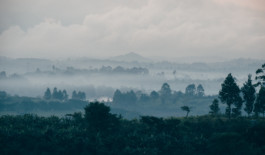 STROKE AND MARVEL — Studio für wunderbares Design