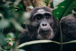 STROKE AND MARVEL — Studio für wunderbares Design