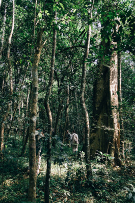 STROKE AND MARVEL — Studio für wunderbares Design