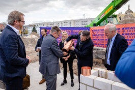 STROKE AND MARVEL — Studio für wunderbares Design